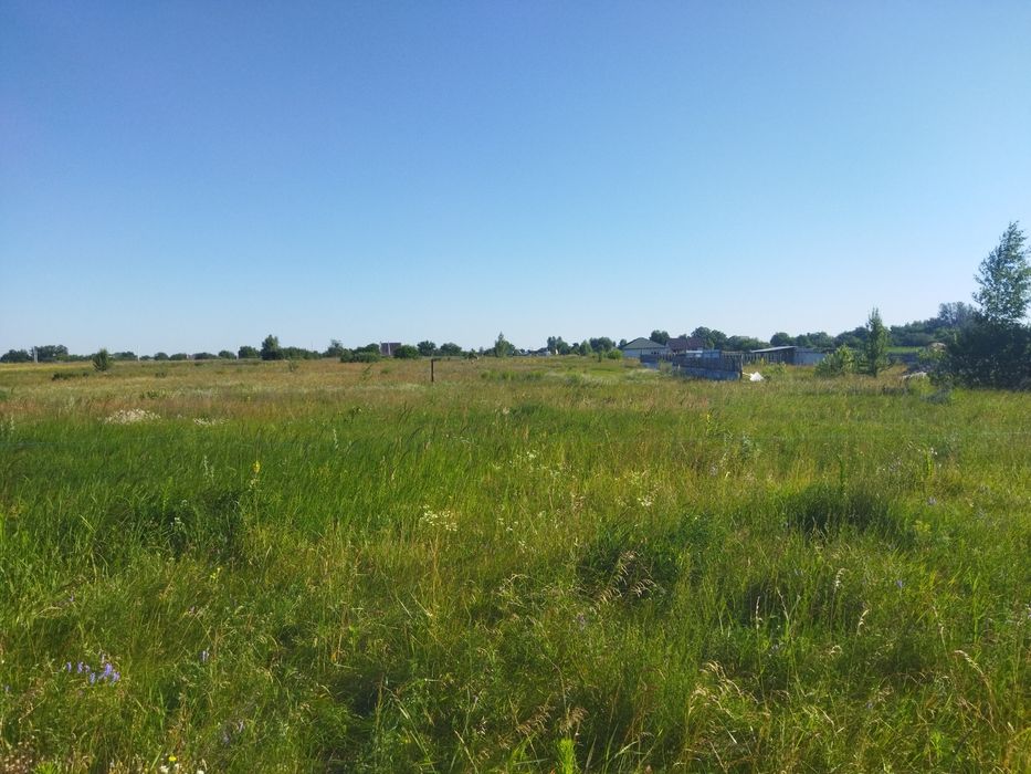Земельна ділянка