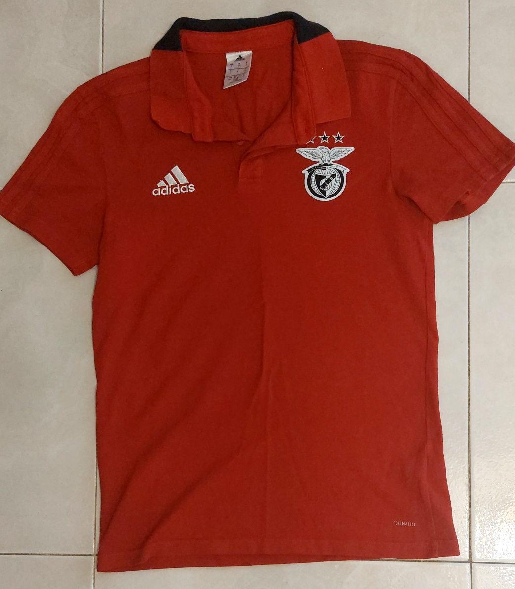 Polo Vermelho do Benfica