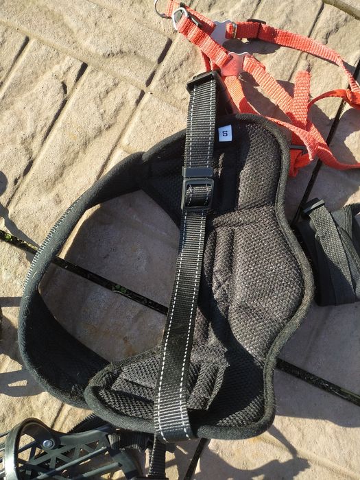 Puszorek szeli kaganiec