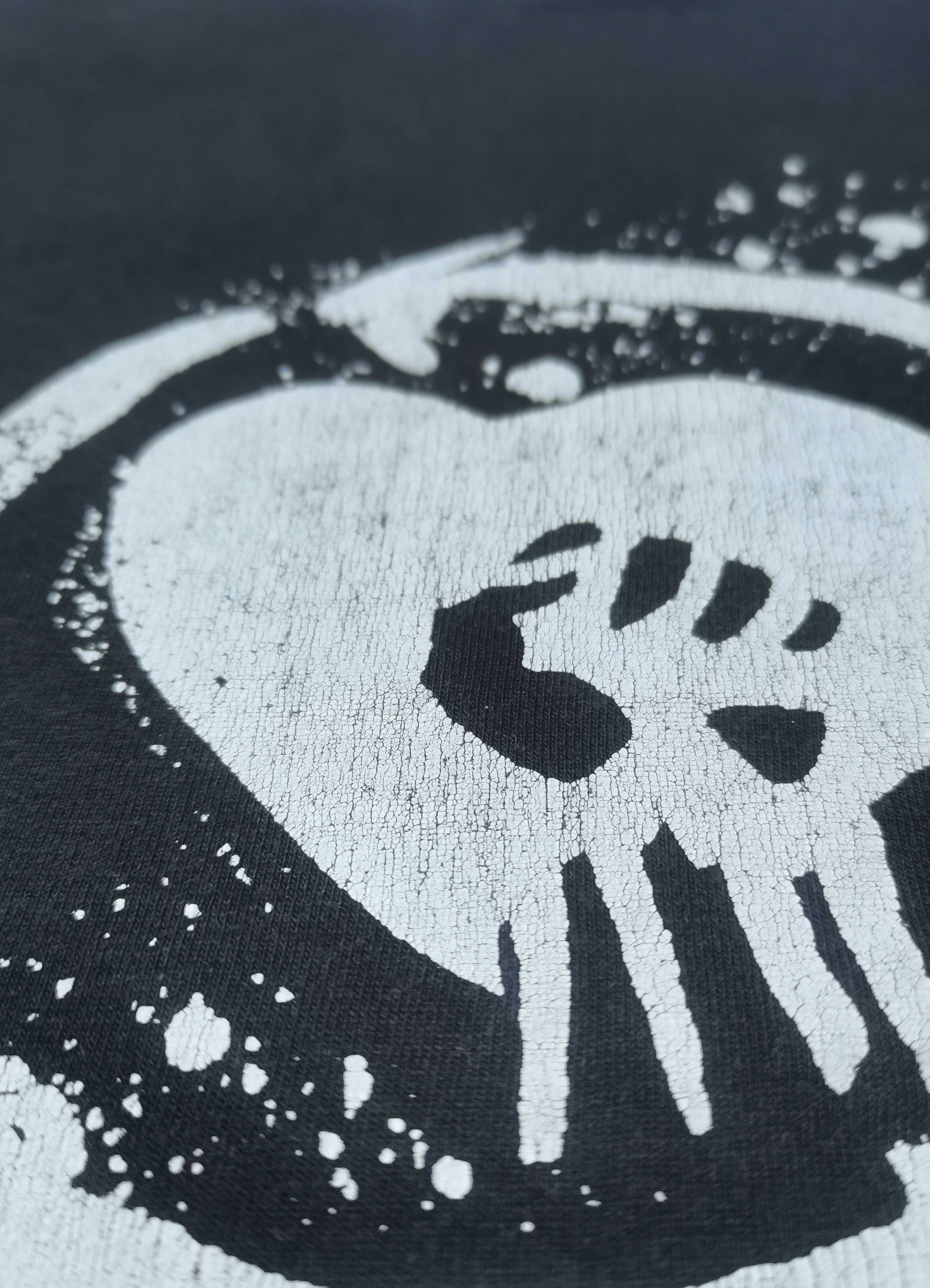 Rise Against (hardcore punk) T-Shirt, koszulka [M/L]