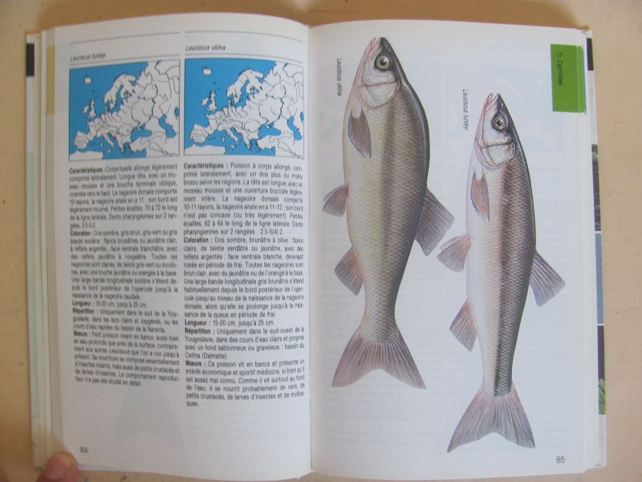 Les poissons deau douce et de mer - Fritz Terofal