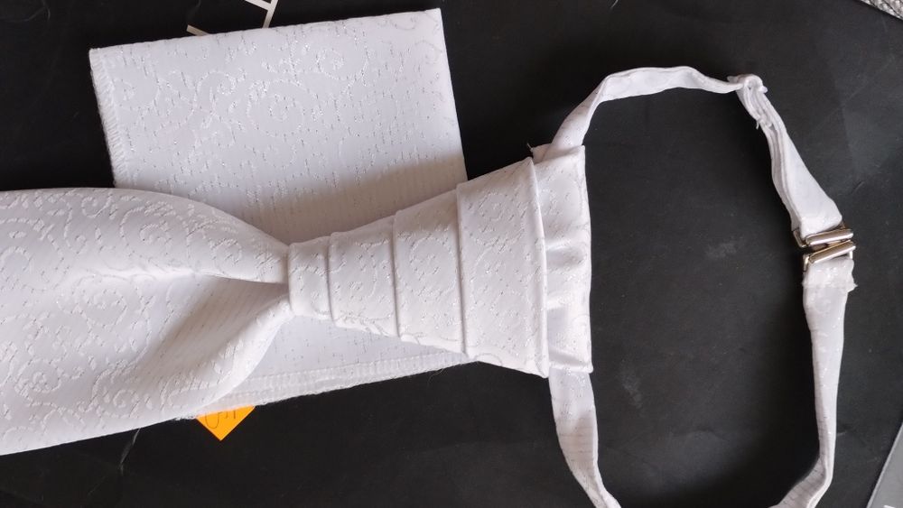 Piękny musznik / krawat i poszetka