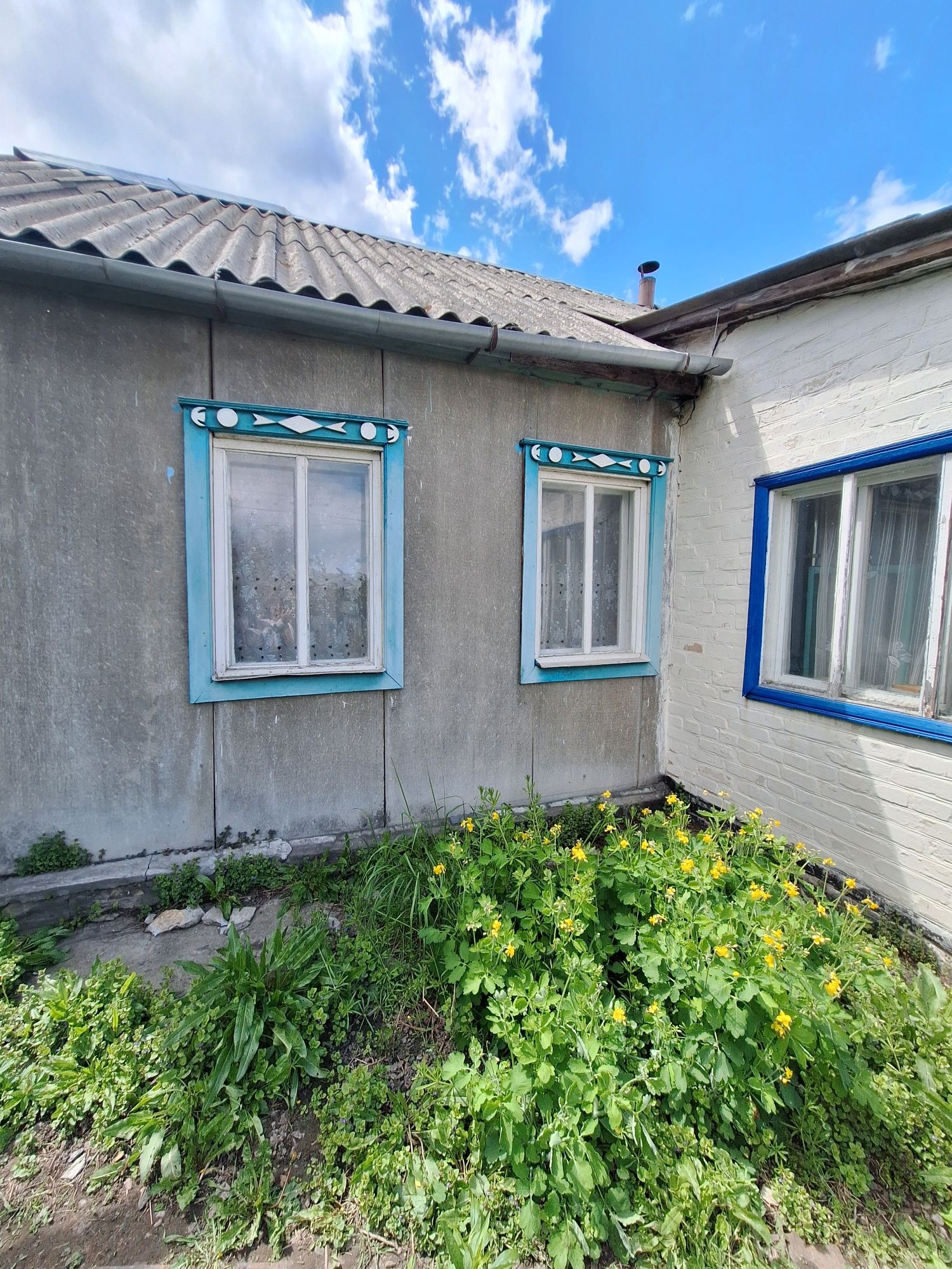 Плесецьке.  Продам будинок вул. Покровська