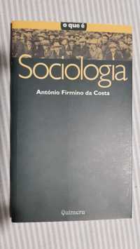 O que é Sociologia