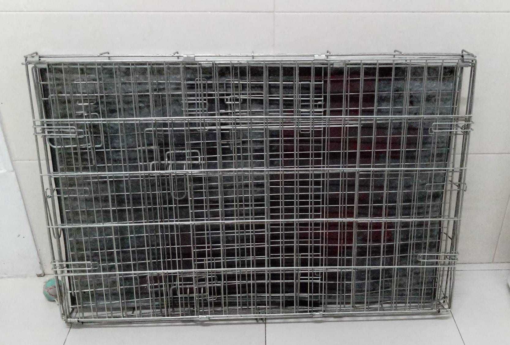 Transporte de animais médio porte desmontável