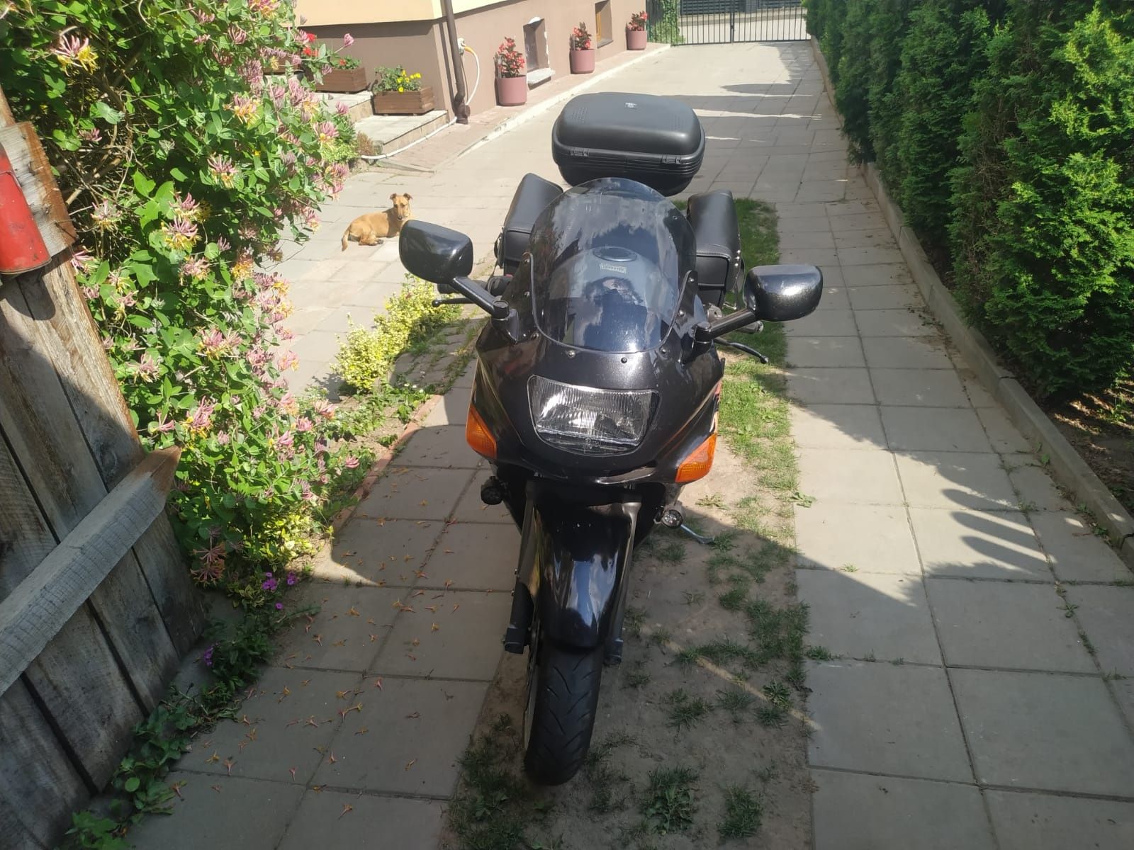 Kawasaki ZZR 600