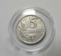 moneta 5 gr z 1949 z destruktem
