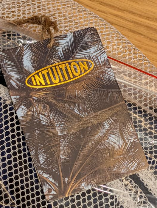 Liner do rolek Intuition Skate Premium 44EU (29-29.5 cm)