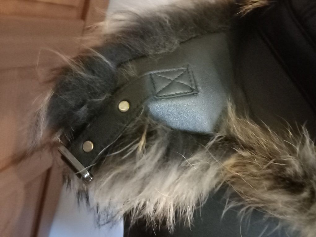 Czapka uszatka , jenot