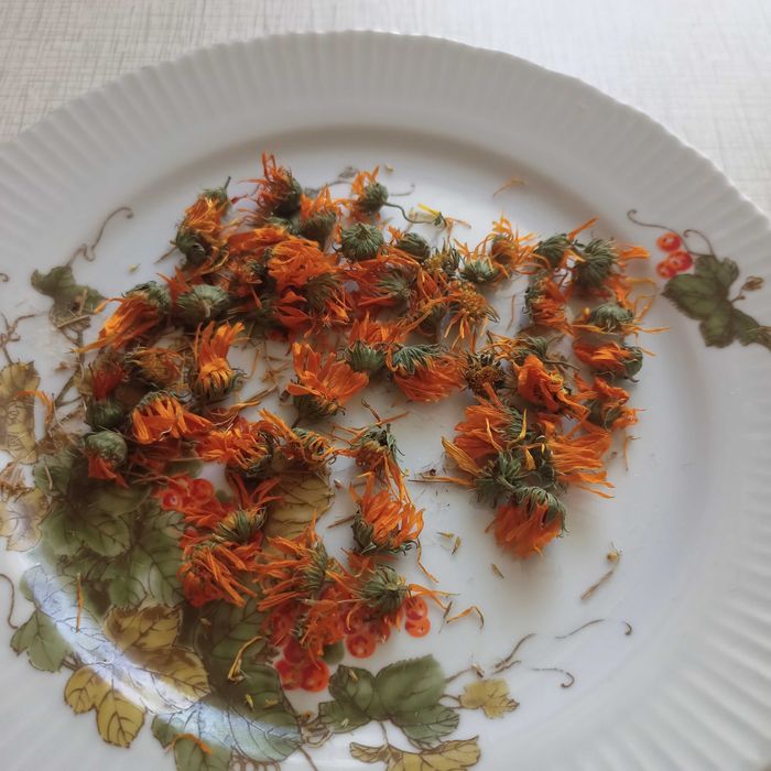 Чернобрывцы свежие , календула.