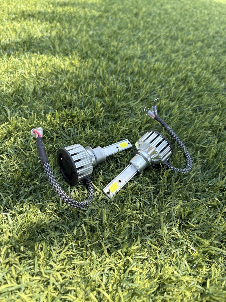 Leds H1.