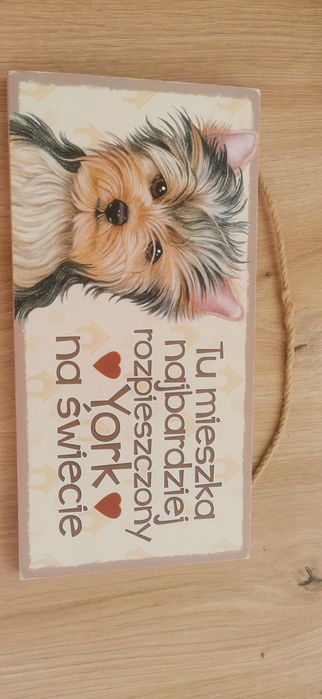 Tabliczka dla pieska york