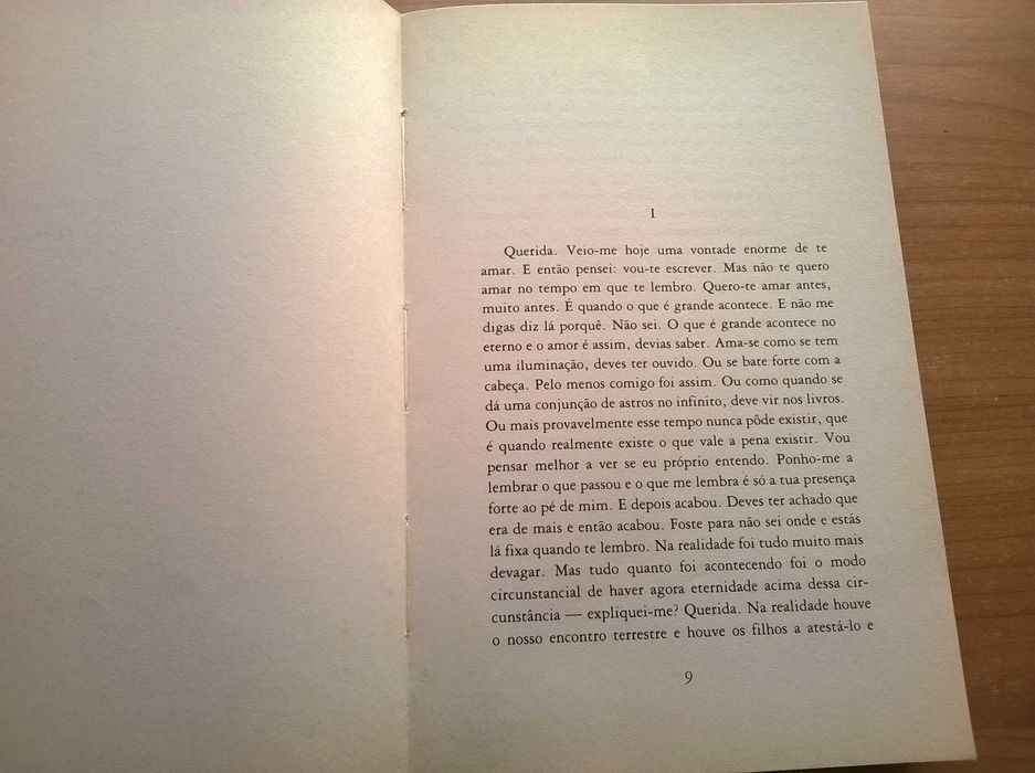 Em Nome da Terra (1.ª edição) - Vergílio Ferreira