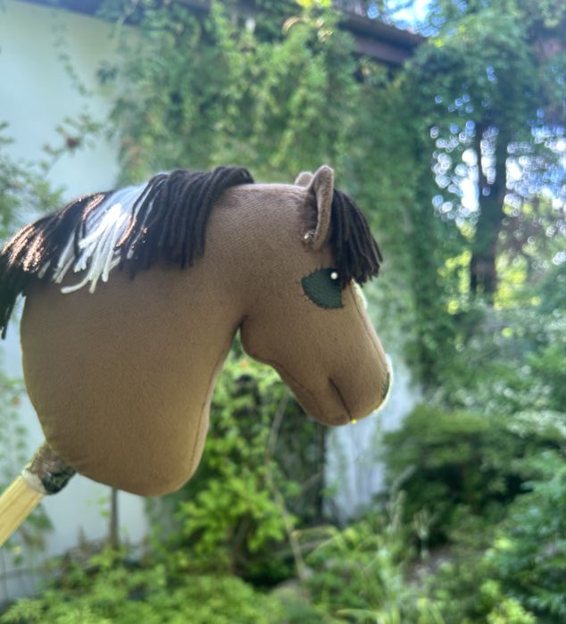 Hobby horse os A5+
