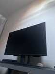 Monitor MSI 100hz/24cali