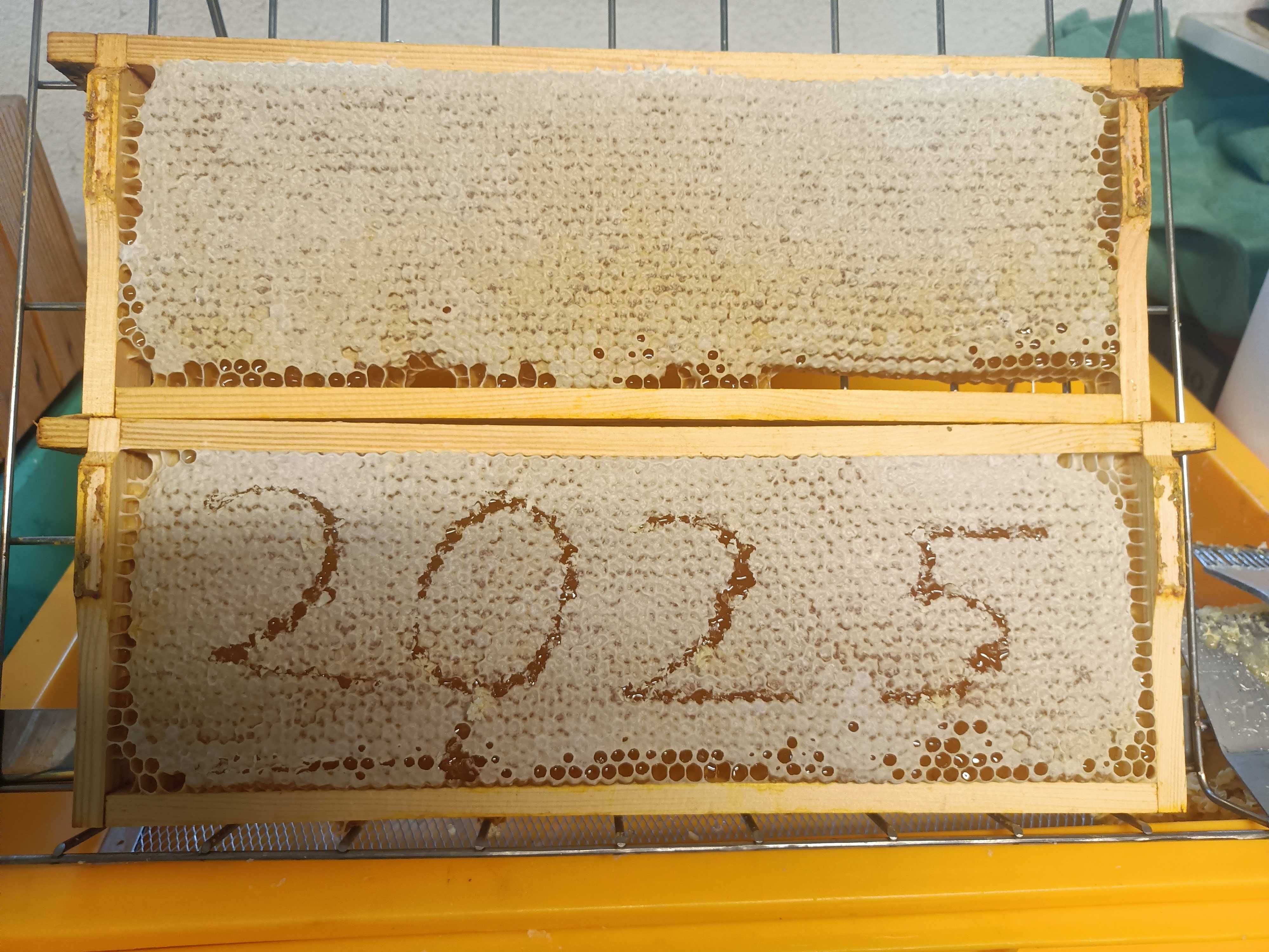 Miód wielokwiatowy świeży 2025