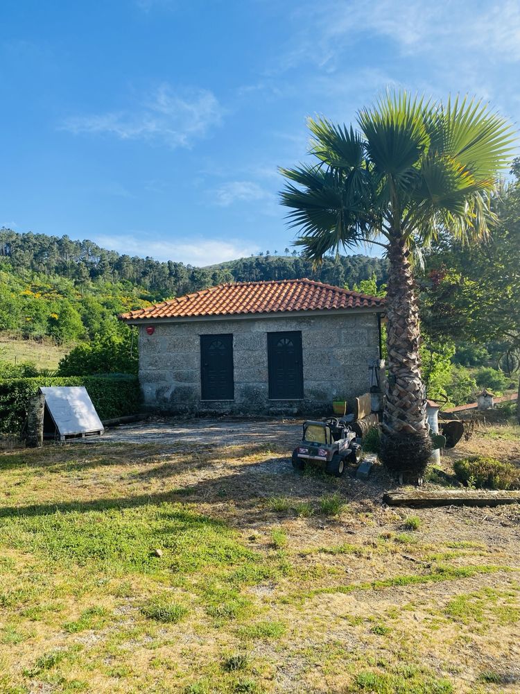 Quinta na Região do Douro Resende