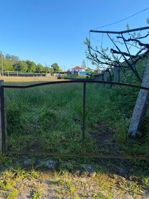 Vende-se Terreno Agrícola com Poço e Motor