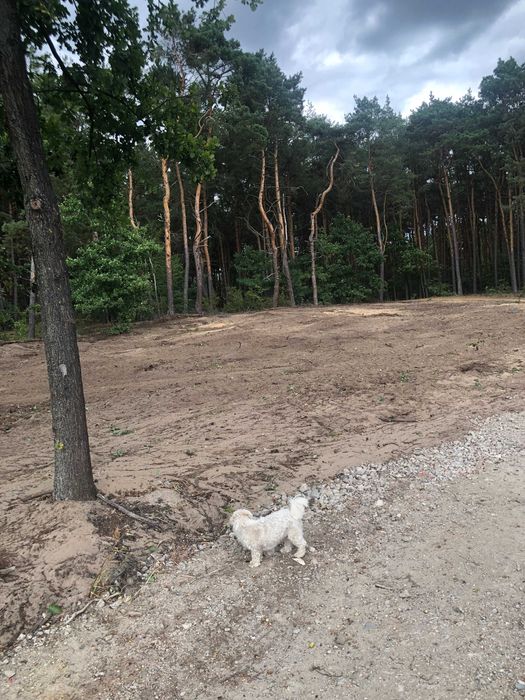 Cicha przepiękna działka budowlana las uzbrojona 1700m woda prąd buduj