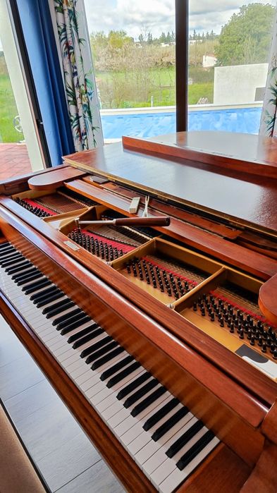 Fernando Leão Afinador de Pianos do Sul / Piano tuner in the Algarve