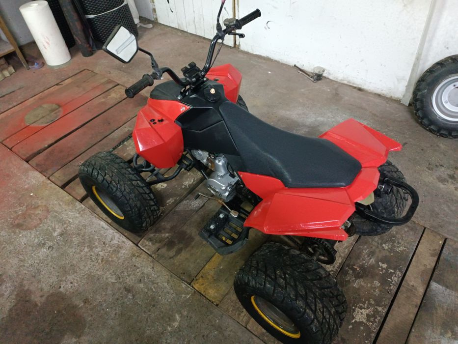 Egl 110 (quad Bashan loncin cross 125)