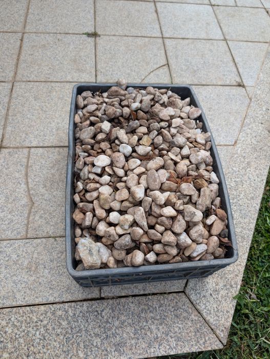 Pedras para jardim