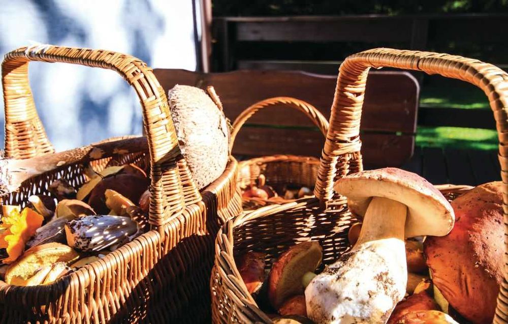 Komfortowy dom na Mazurach z własną plażą i pomostem