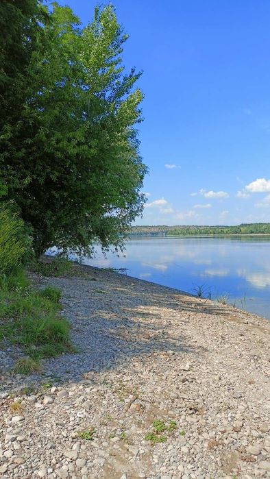 Продам земельну ділянку 10 сотих  на березі річки Дністер