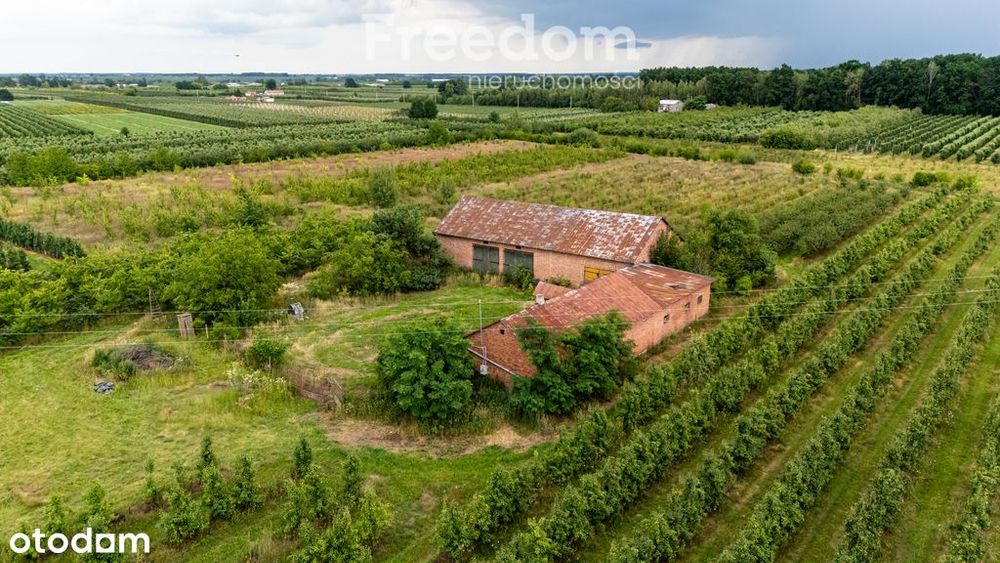 Działka rolna 5ha + budynki, media! Koziel