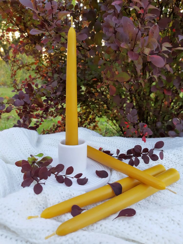 Świeca x6 stożkowa stołowa świeczka z wosku pszczelego