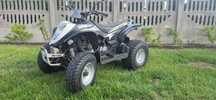 QUAD E-TON Viper 150 na dużej ramie