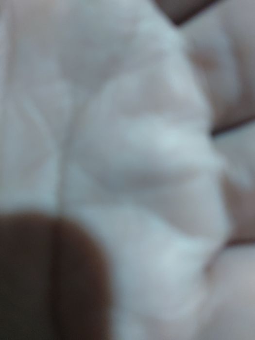 Tenho mini berço para venda novo nunca usado e esperguicadeira