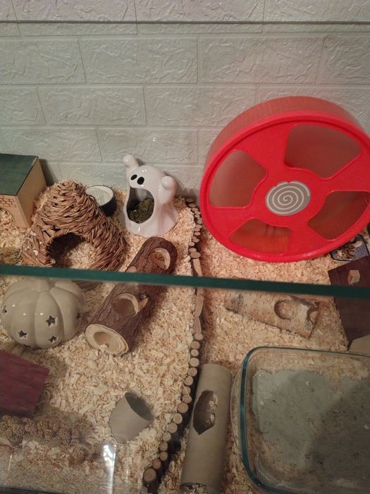 sprzedam akwarium 90x60x40cm