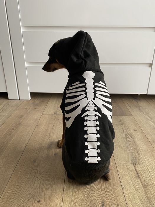 Ubranko dla psa halloween przebranie kościotrup szkielet bluza