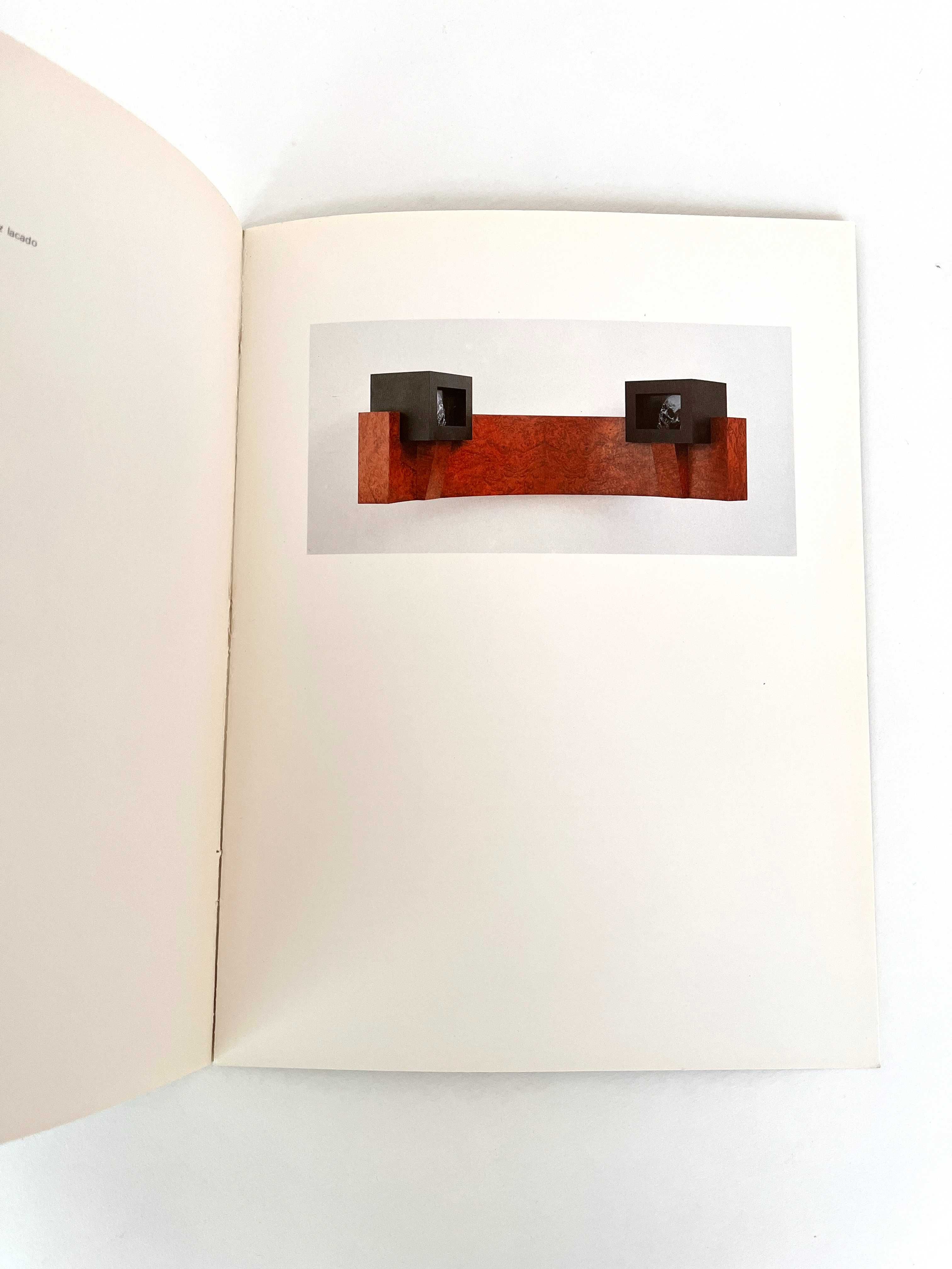 Pedro Cabrita Reis Gerardo Burmester etc. Galeria Pedro Oliveira 1990