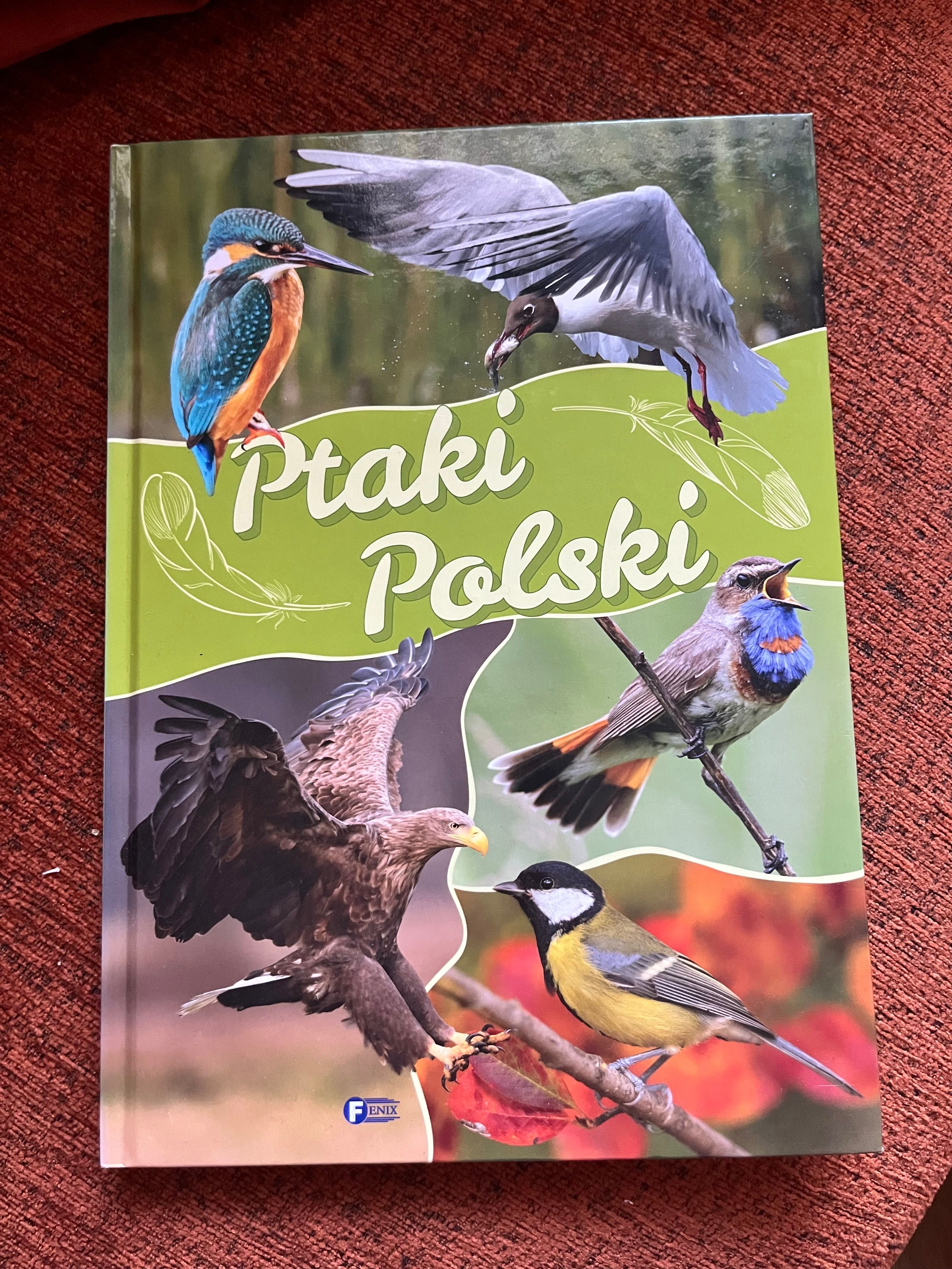 Ptaki Polski Książka