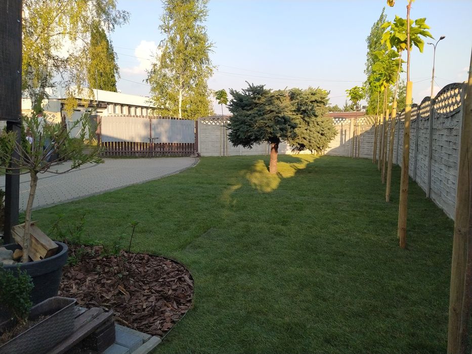 Usługi ogrodnicze - zakładanie ogrodów, pielęgnacja, przycinanie tuj