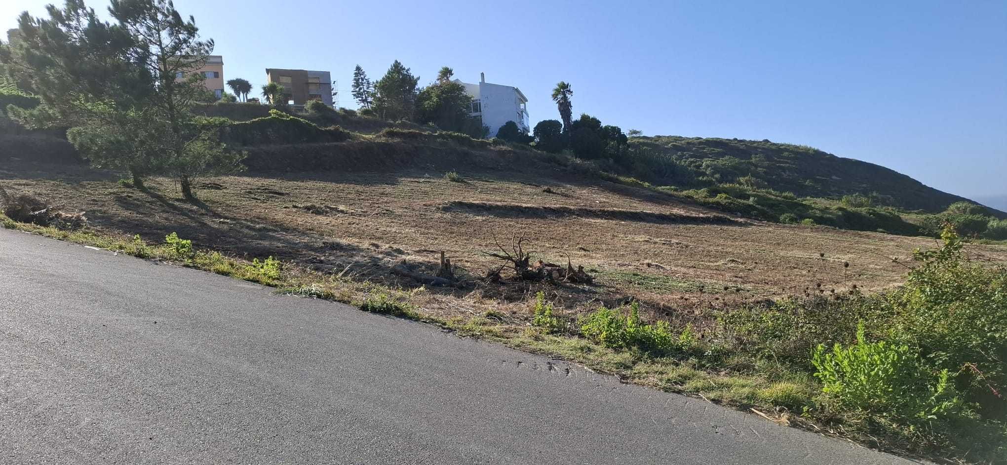 limpeza de terrenos