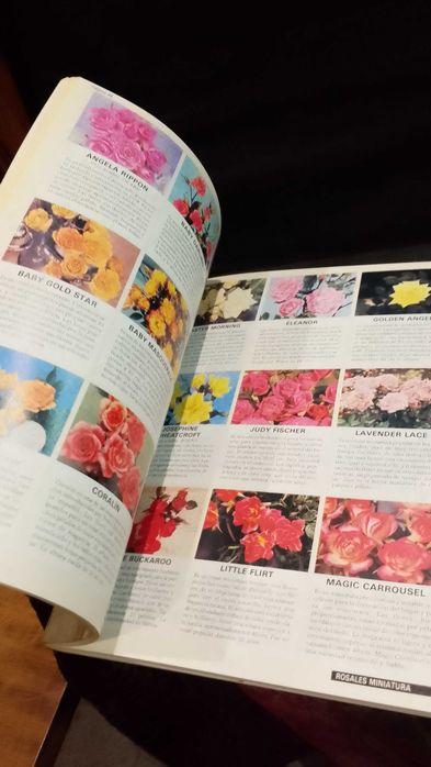 Rosas - Manual de cultivo y conservación - Dr. D. G. Hessayon