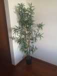 Planta artificial fejka 170 cm  ikea