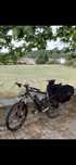 Bike KTM Lycan 26'