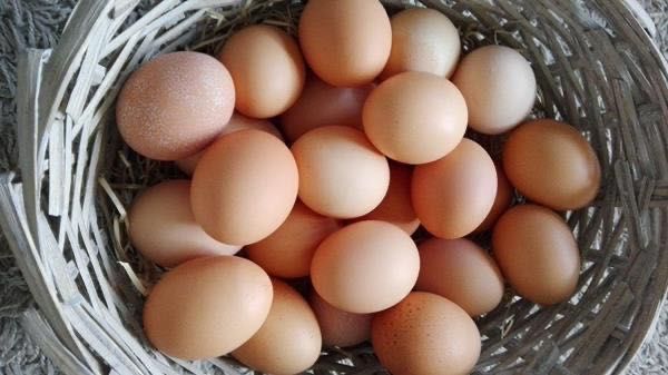 Ovos caseiros à duzia