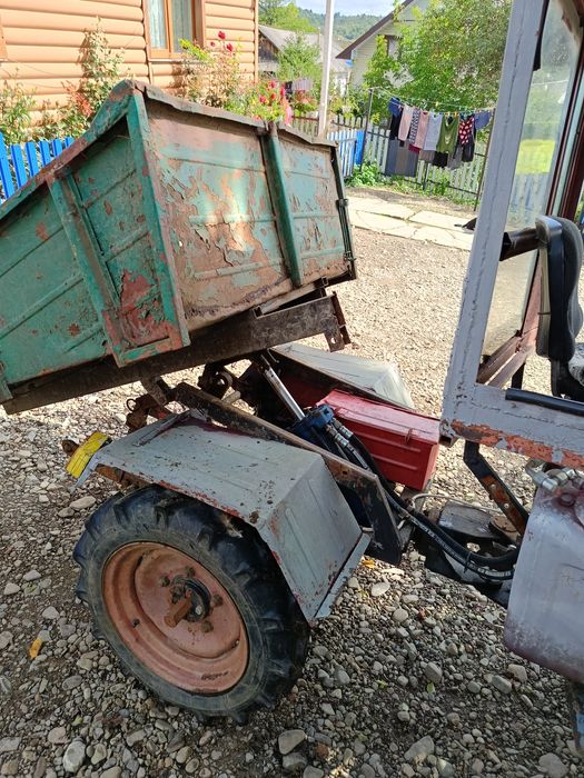 Продається Прикарпатець.