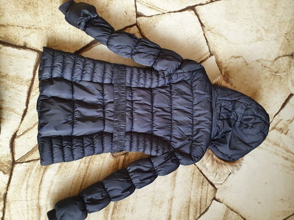 Zimowa granatowa kurtka Orsay