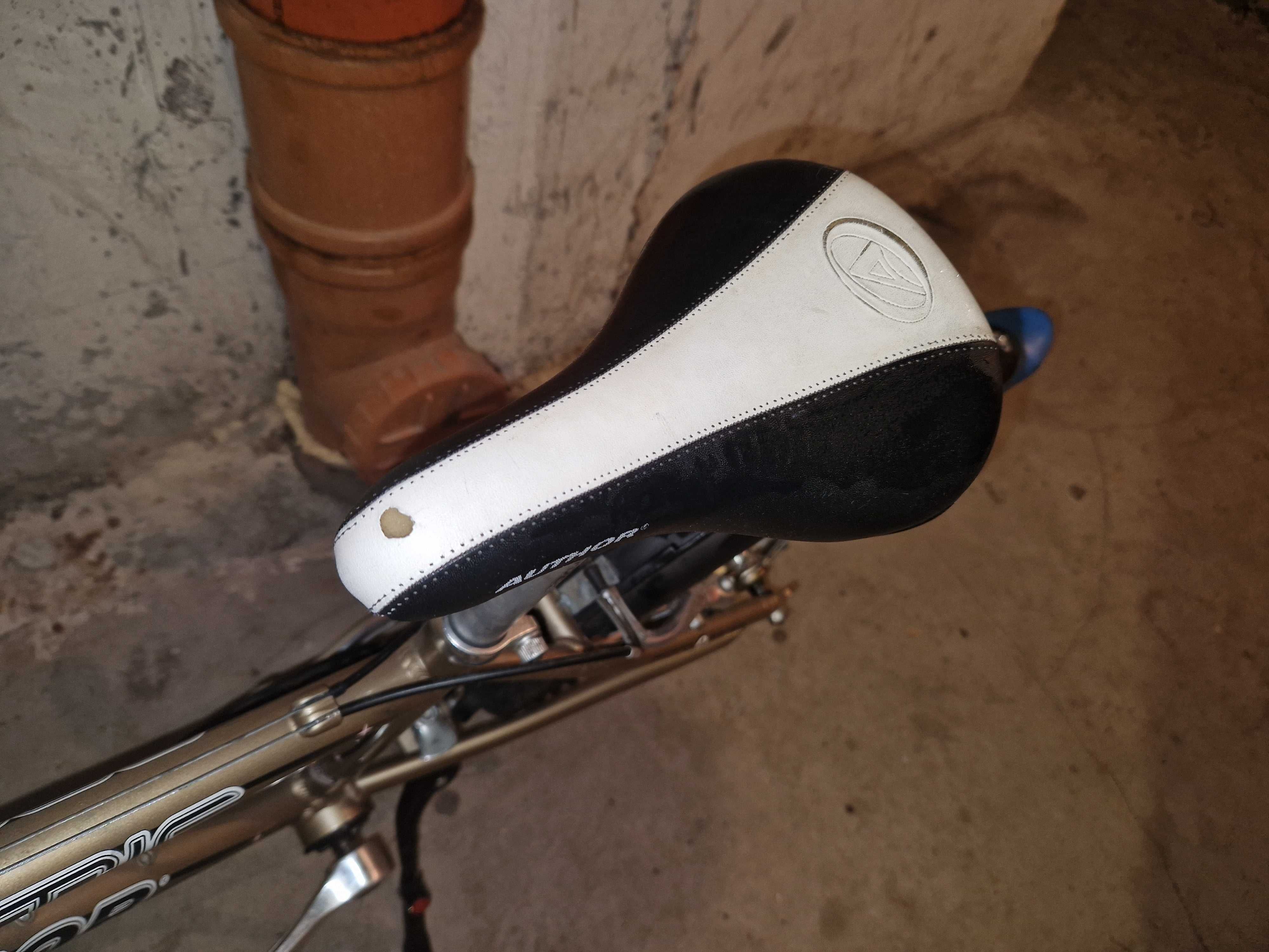 Rower Author Cosmic 20"