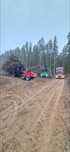 Usługa zrębkowania gałęzi,drewna, pozostałości rębak albach