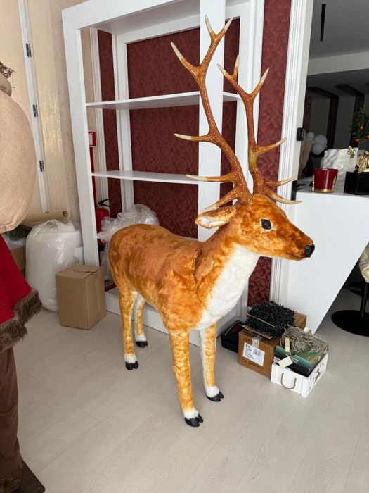 Rena ou veado de natal, tamanho real