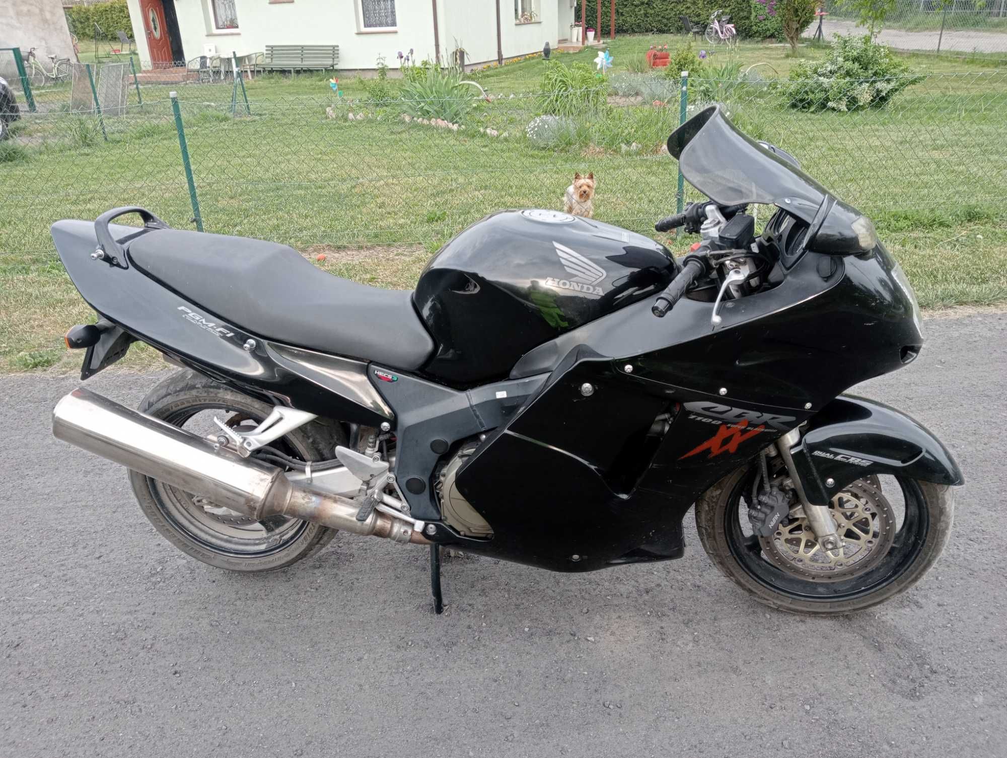 Honda Cbr 1100xx