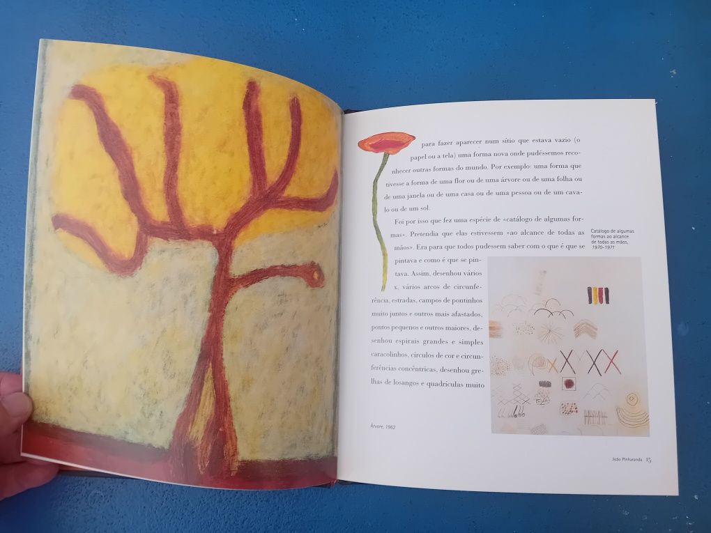História de um Pintor Ambicioso Portes Grátis