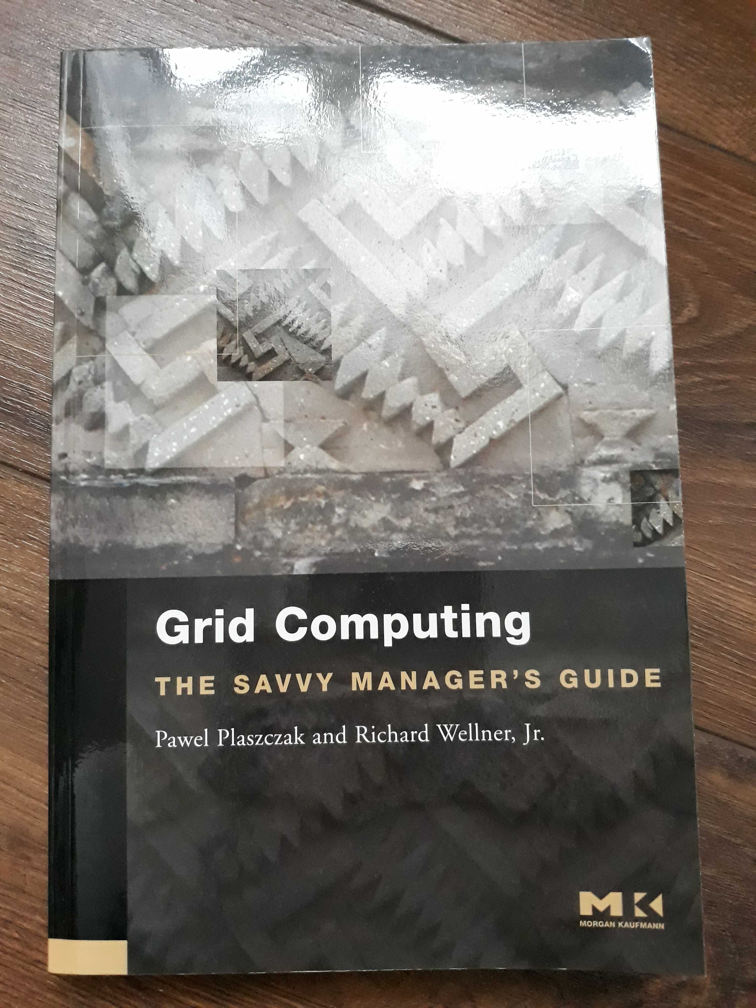 [NOWA] - Grid Computing: The Savvy Manager's Guide, Plaszczak, Wellner